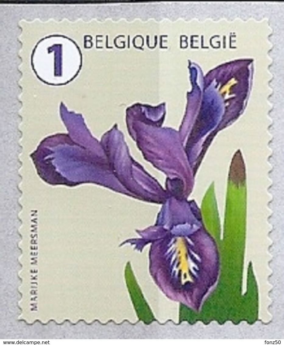 BELGIE  2016 * R 141 * Postfris Xx - Rouleaux