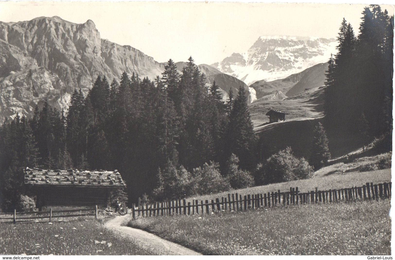 Im Boden Bei Adelboden - Wildstrubel - Adelboden