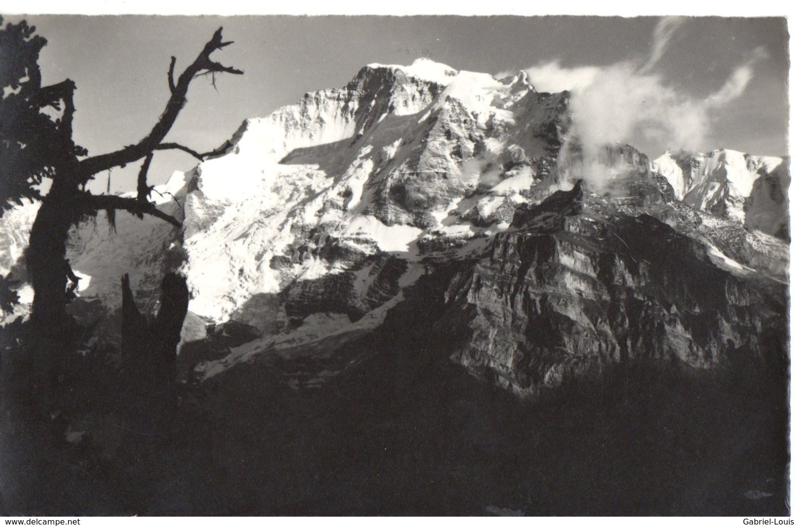 Dorrenhubel Bei Mürren: Jungfrau - Mürren