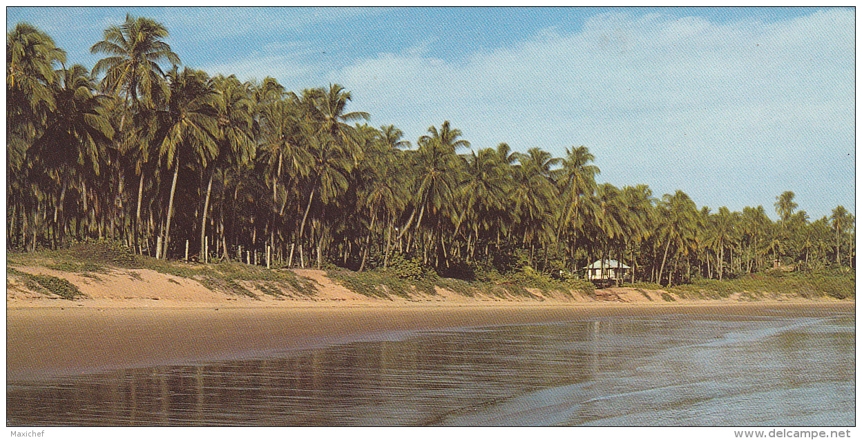 Guyane Fançaise - Ile De Cayenne - Plage De Zéphir - Carte Panoramique (104 X 208mm) Circ Sans Date - Cayenne