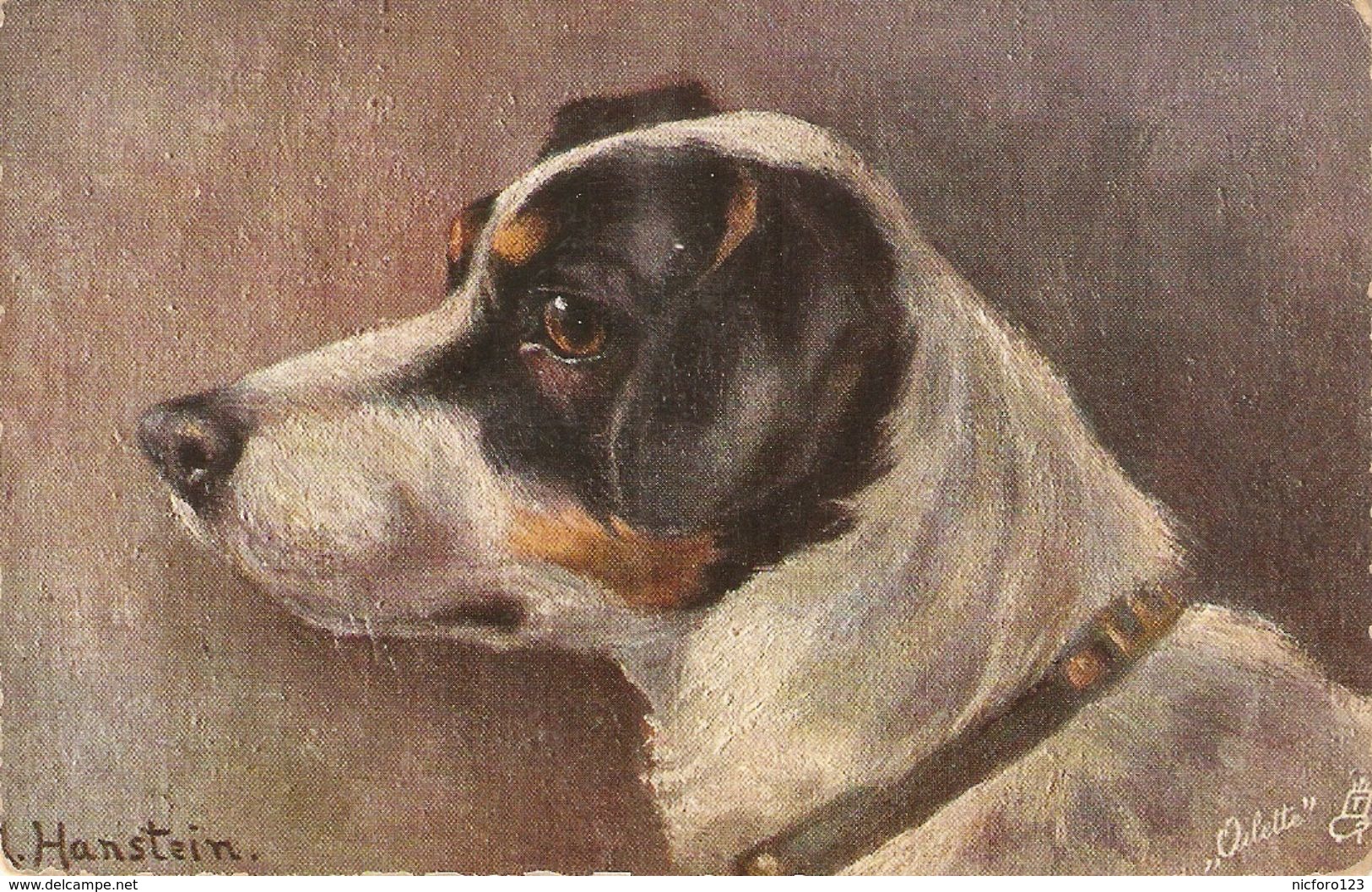 "A. Hanstein. Fox Terrier Dog" Tuck Oilette Favourite Dogs Series PC # 4092 - Tuck, Raphael