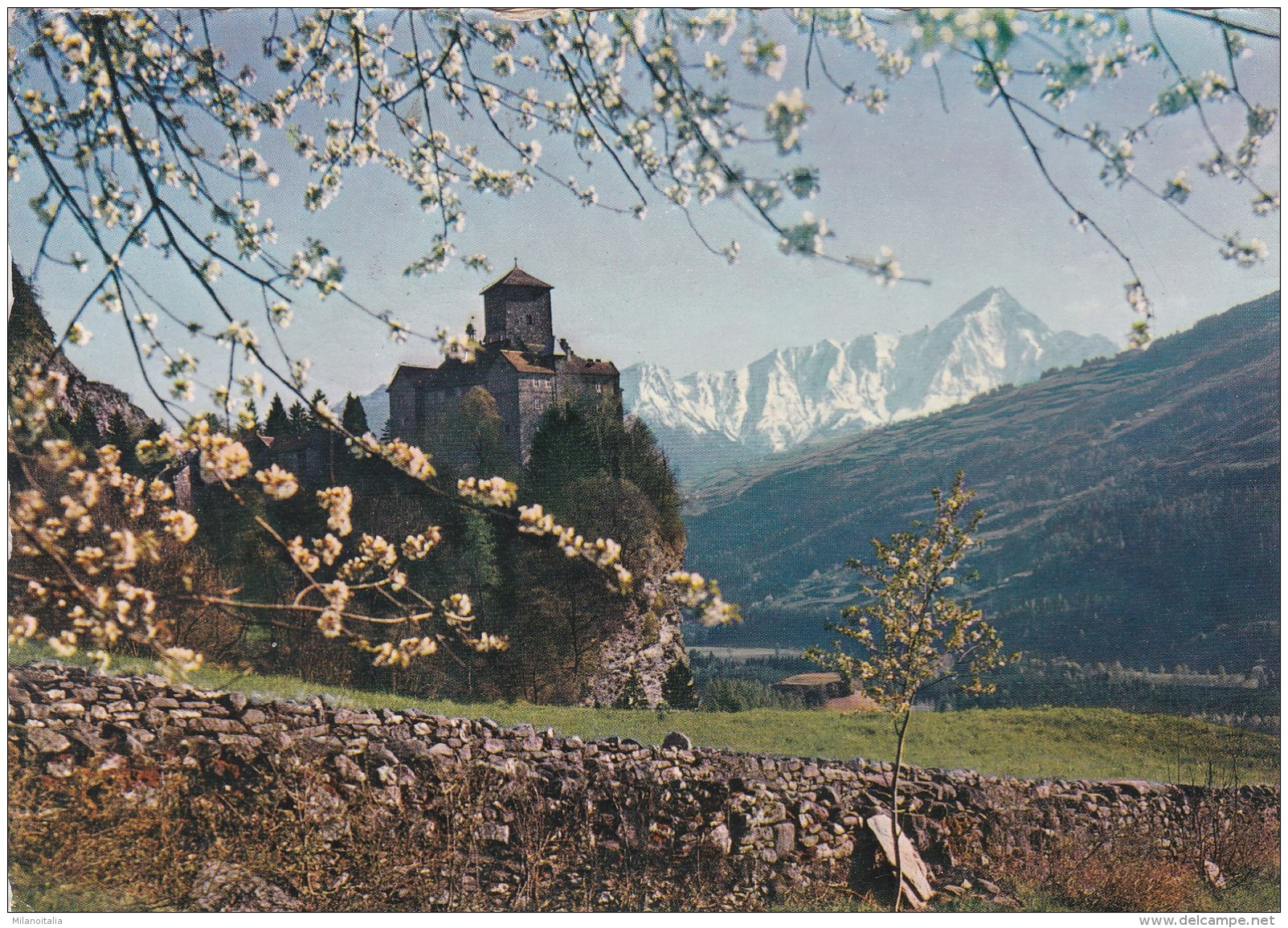 Schloss Ortenstein (Domleschg) Mit Piz Beverin (631) * 19. 7. 1960 - Bever