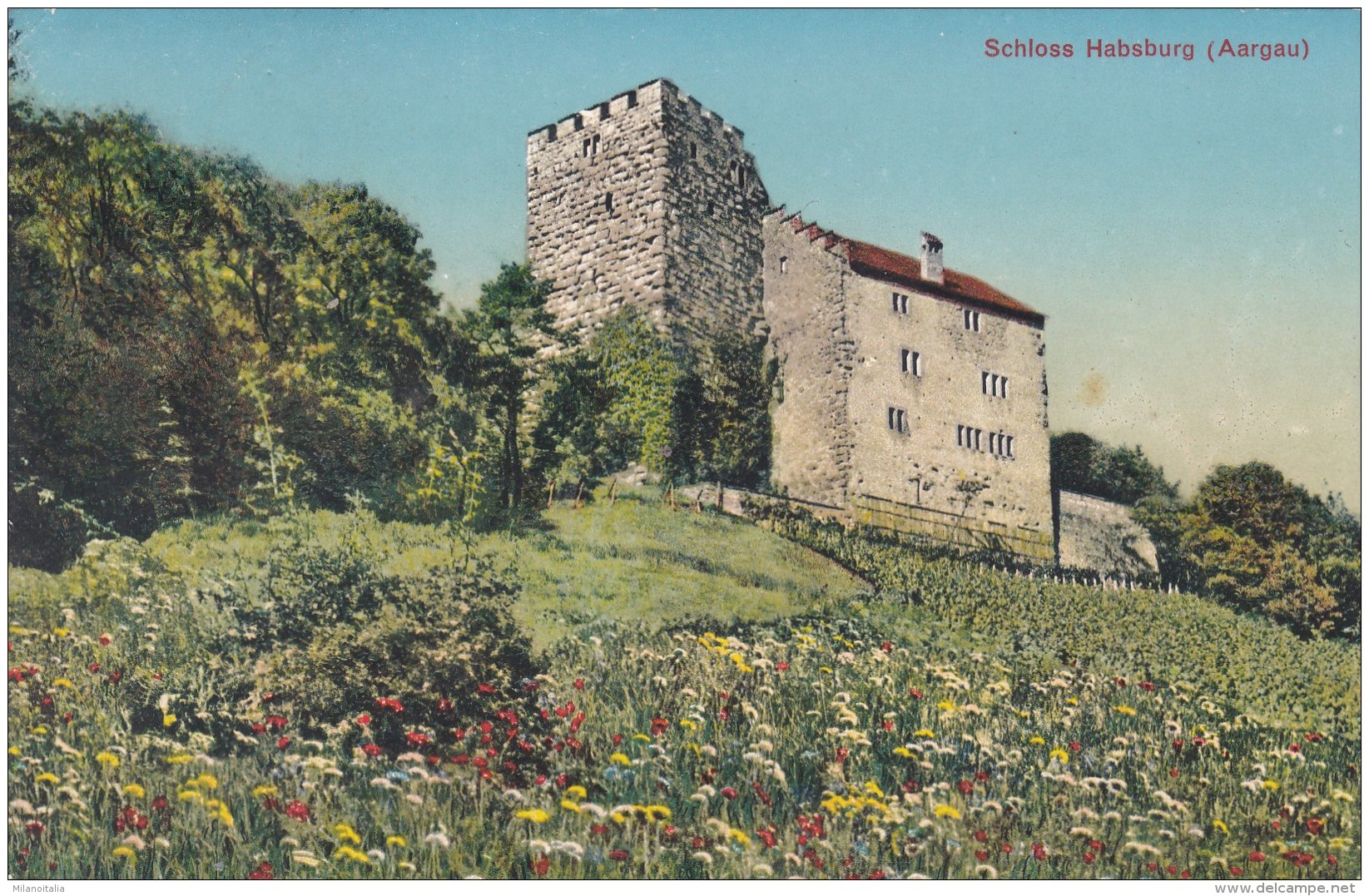 Schloss Habsburg (Aargau) (34) * 14. 7. 1951 - Other & Unclassified