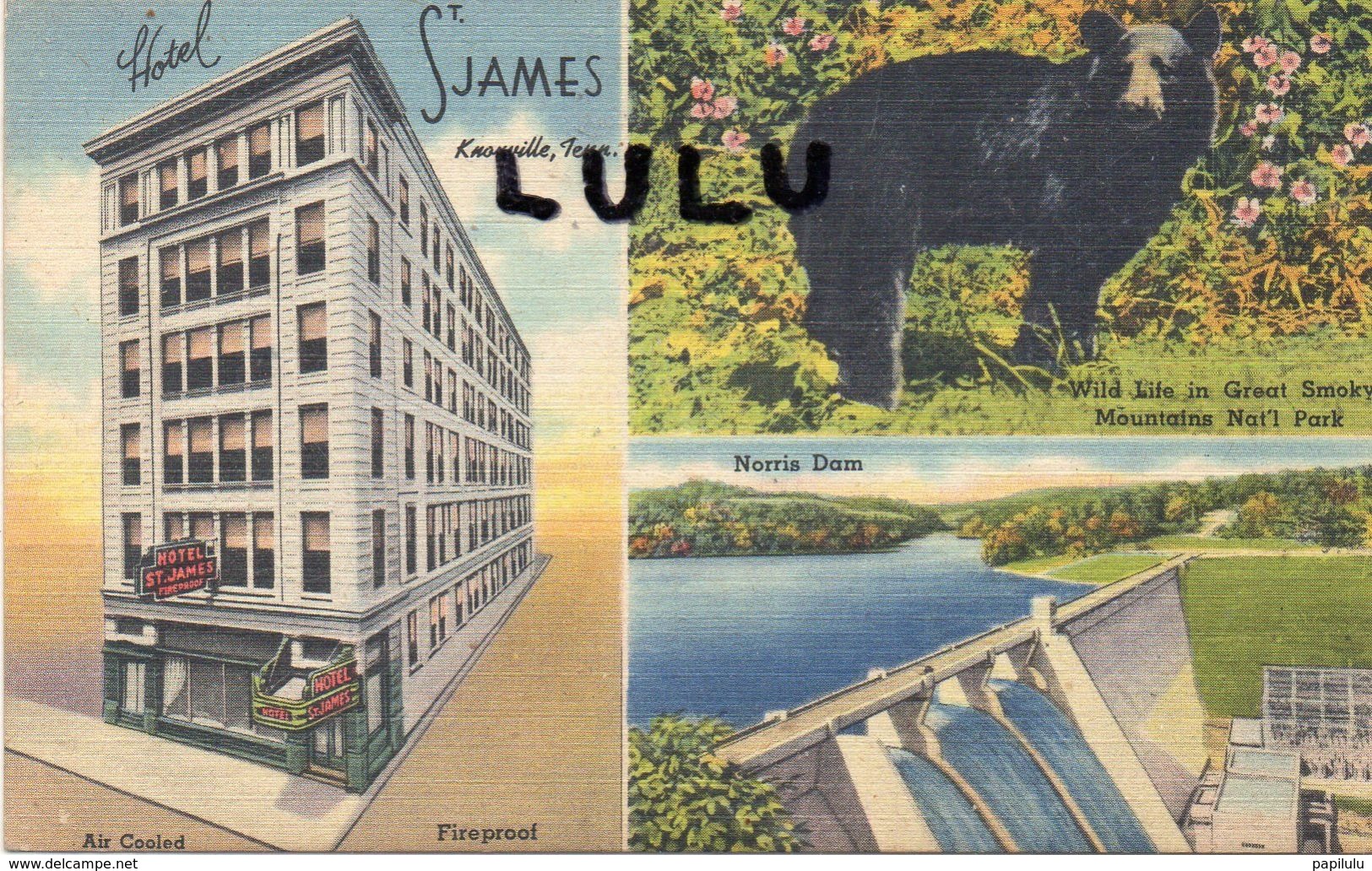 ETATS UNIS : TN : Hotel Saint James Knoxville , Multivues ( Ours Noir ) - Knoxville