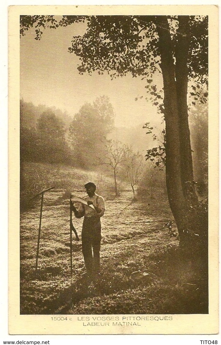 LABEUR-MATINAL - Les Vosges Pittoresques - Lorraine