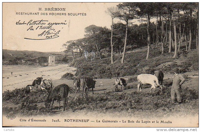 35 ROTHENEUF La Guimorais - Le Bois Du Lupin Et Le Moulin - Rotheneuf