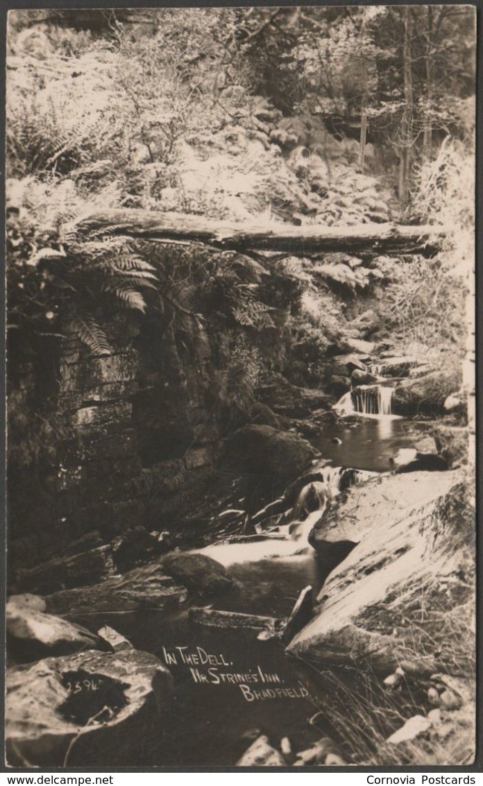 In The Dell, Near Strine's Inn, Bradfield, Sheffield, Yorkshire, 1914 - RP Postcard - Sheffield