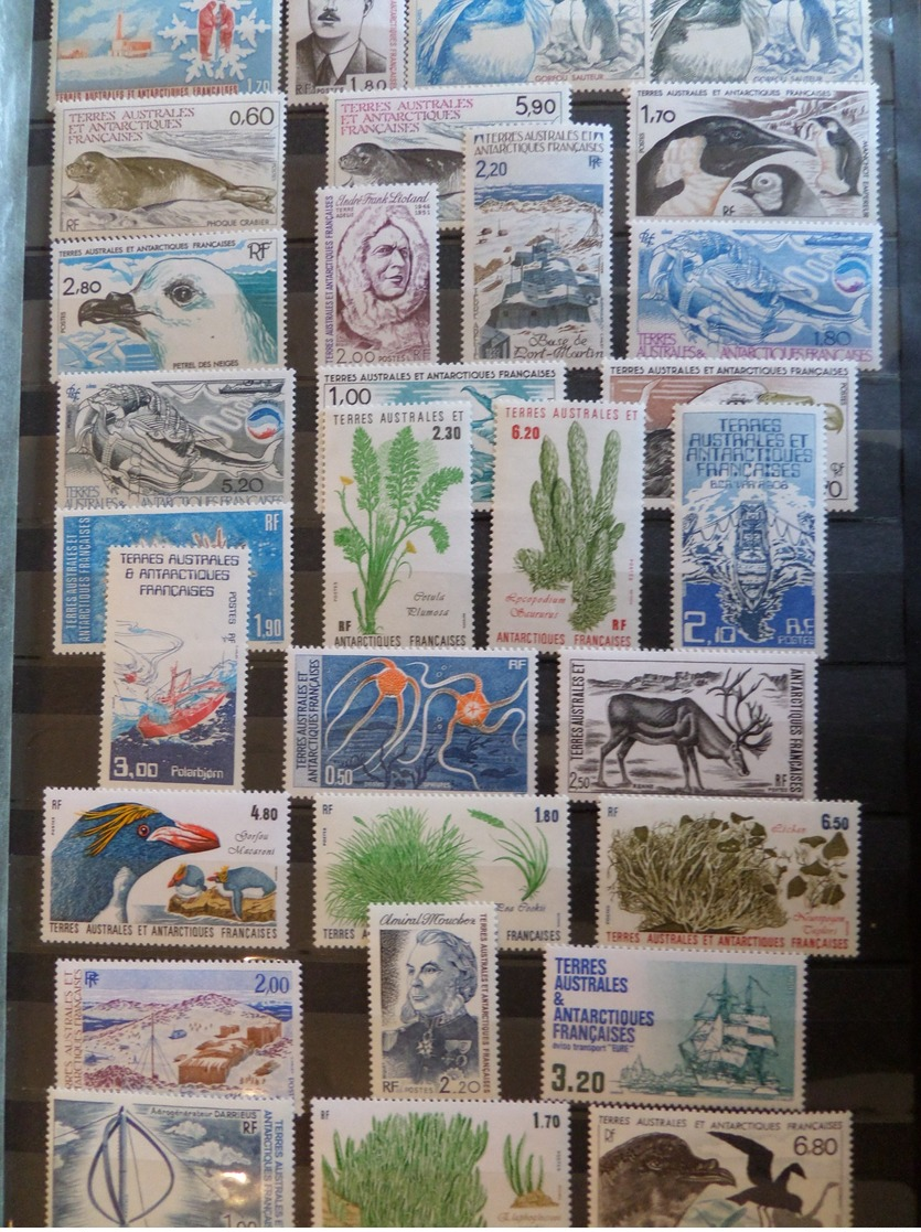 TAAF Belle Collection Neufs ** MNH Poste Et Poste Aérienne 1977/2000. TB. A Saisir ! - Collections, Lots & Séries