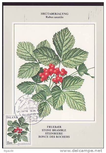 ISLANDE CARTE MAXIMUM NUM YVERT  581 FLEURS - Cartoline Maximum