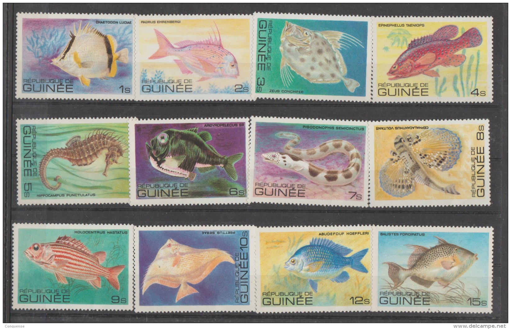 RE   GUINEA   1980   **   MNH    FISH - Poissons