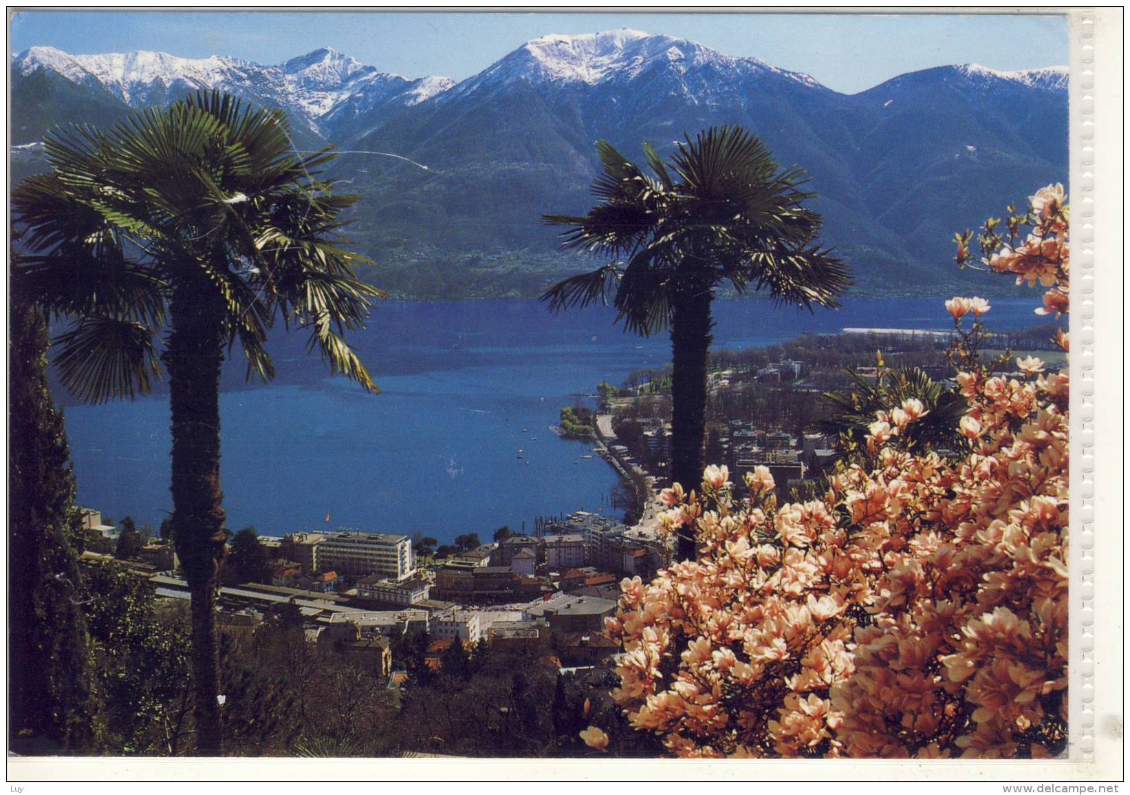 LOCARNO LAGO MAGGIORE VISTA DA ORSELINA - Orselina