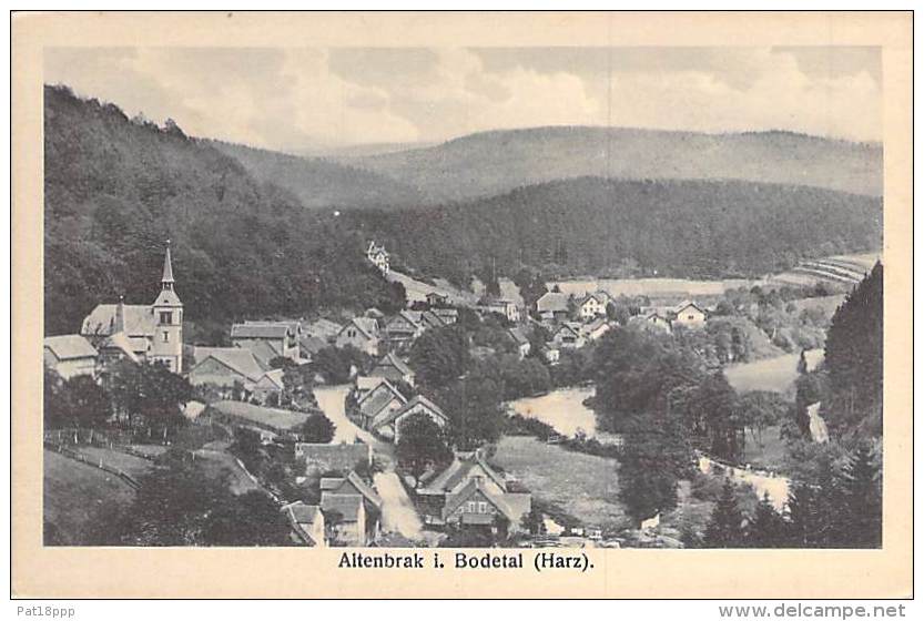 DEUTSCHLAND Allemagne ( Saxe Anhalt ) ALTENBRAK I. BODEDAL ( Harz ) - CPSM Sépia Format CPA - Germany - Altenbrak