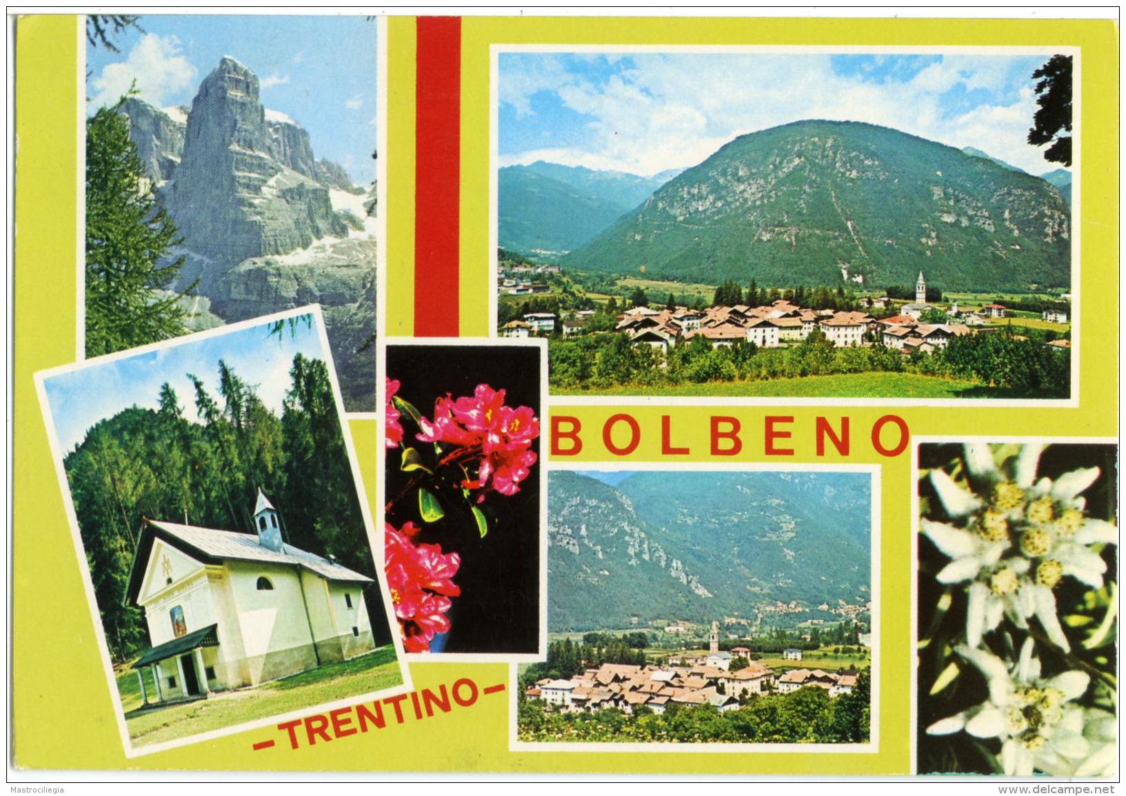 BOLBENO TRENTO  Multiview  Edelweiss - Trento