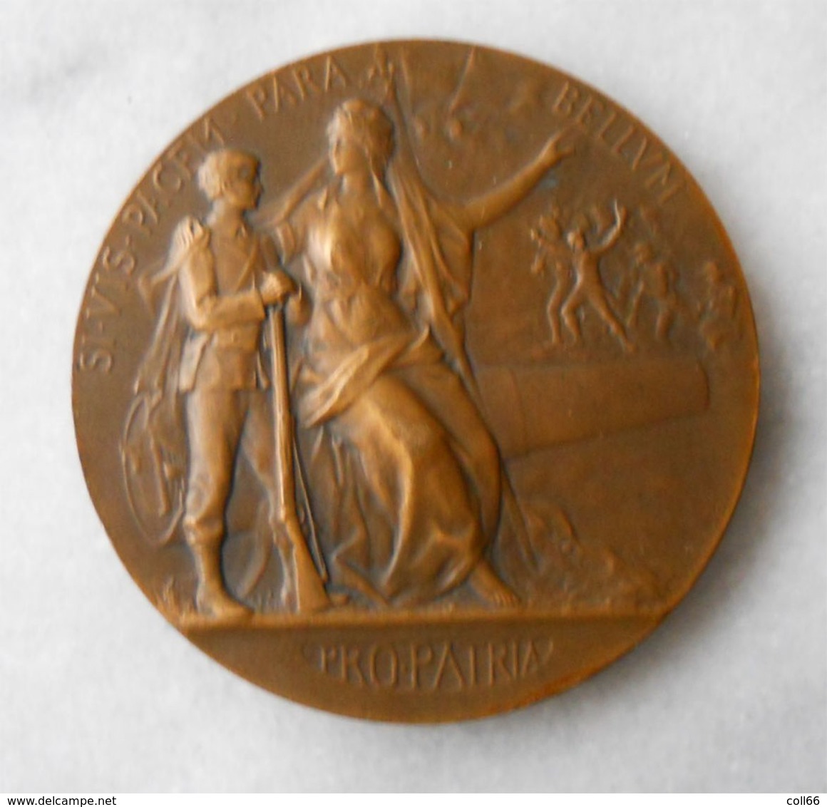 Médaille Pro-Patria Par P.Grandhomme Ministères De La Guerre Fusil Canon Lion Fleuret Marianne Casquée Bronze - Autres & Non Classés