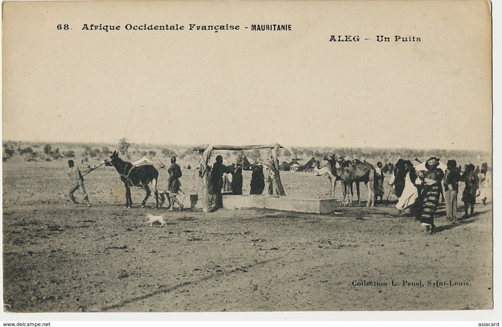 Mauritanie  68 AOF Aleg Un Puits Coll. Penel Saint Louis Ane Dromadaire - Mauretanien