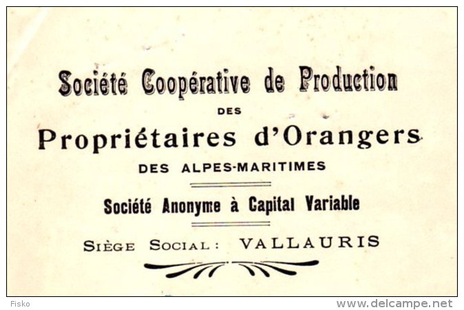 Coopérative Des Propriétaires D'Orangers Des Alpes Maritimes   VALLAURIS  06 - Lettres De Change