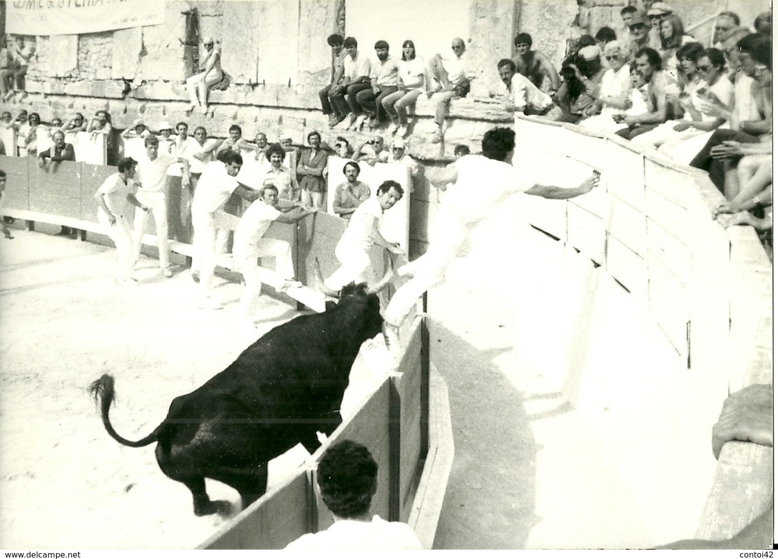 13 ARLES PHOTOGRAPHIE DE PRESSE RASETEURS TAUREAU COCARDE COURSE LIBRE CAMARGUE BOUCHES DU RHONE - Lugares