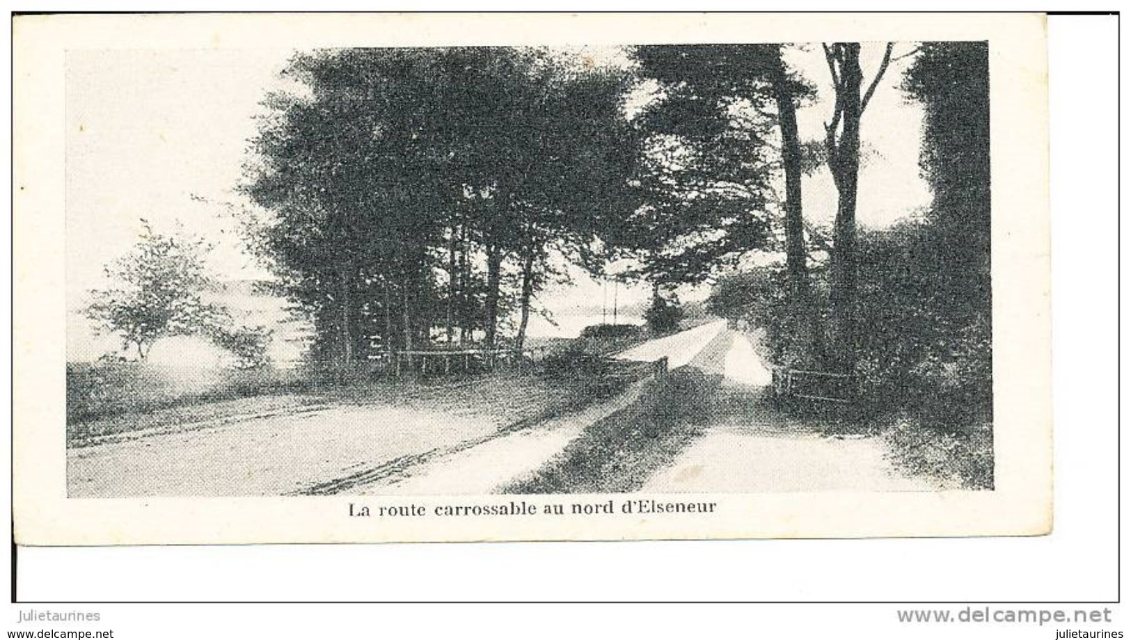 ELSENEUR LA ROUTE CARROSABLE CARTE PETIT FORMAT 13.5 X 6.5 - Denmark