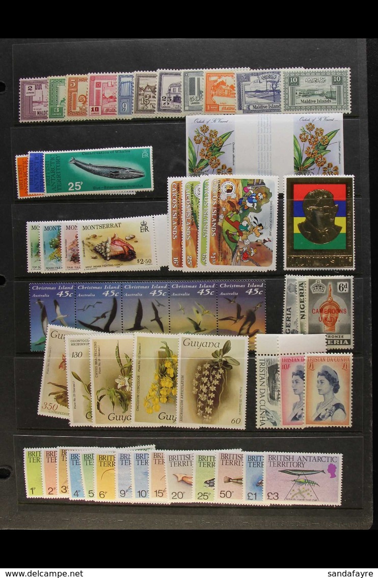 BRITISH COMMONWEALTH QEII NEVER HINGED MINT RANGES 1950's-1990's Interesting Accumulation On Stock Pages & In Packets In - Andere & Zonder Classificatie