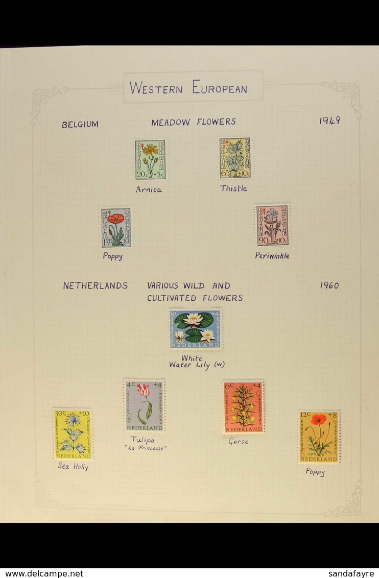 FLORA 1930s-60s Mint & Used Collection In An Album Featuring Plants, Flowers Or Trees Of Each Continent With A Section O - Ohne Zuordnung