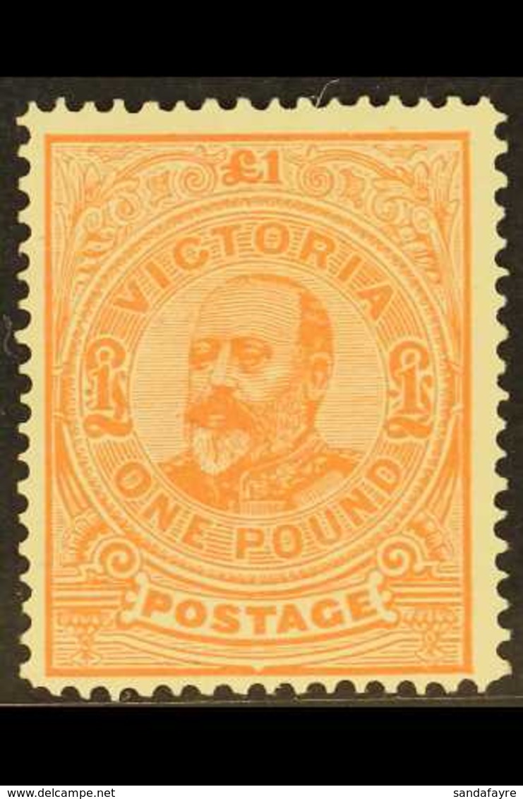 VICTORIA 1905-13 £1 Salmon Perf 12½, SG 431, Fine Mint, Very Fresh & Attractive. For More Images, Please Visit Http://ww - Andere & Zonder Classificatie