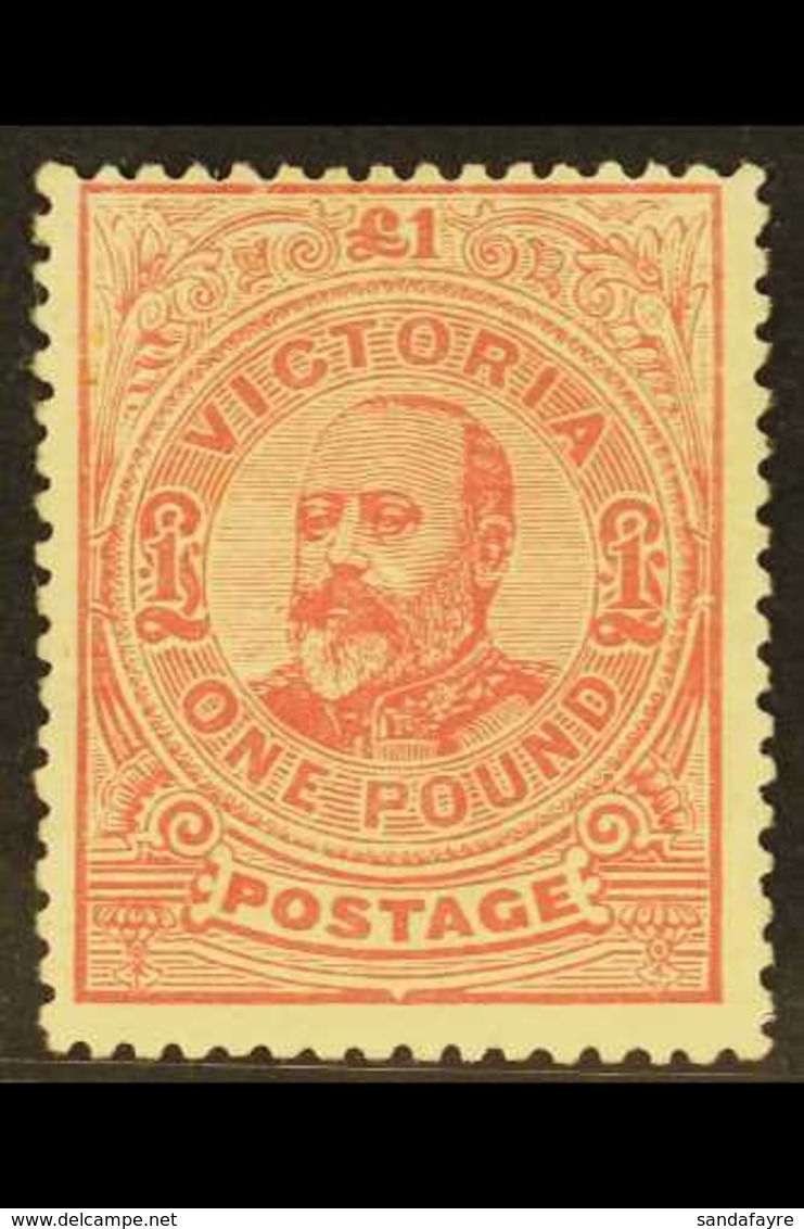 VICTORIA 1905-13 £1 Dull Rose Perf 12½, SG 431a, Fine Mint, Minor Gum Disturbance, Fresh Colour. For More Images, Please - Andere & Zonder Classificatie