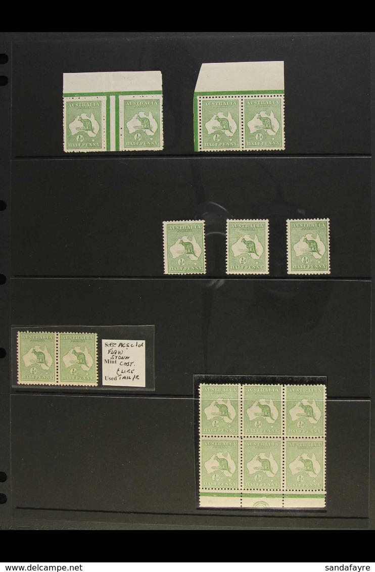 1913 ½D KANGAROOS. A Lovely Mint / Never Hinged Mint Collection Of Items Including Interpanneau Horizontal Pair From The - Autres & Non Classés