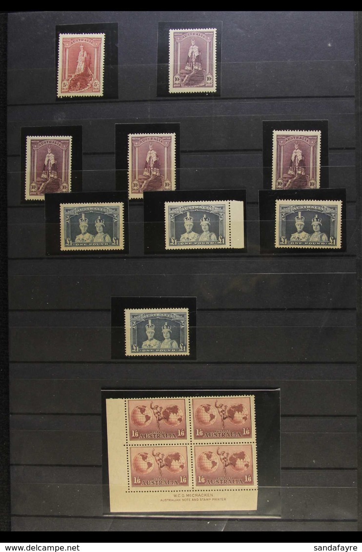 1936-56 NEVER HINGED MINT ASSEMBLY Displayed On Stock Pages, Includes 1936 South Australia Set, 1937-49 Definitives Incl - Other & Unclassified