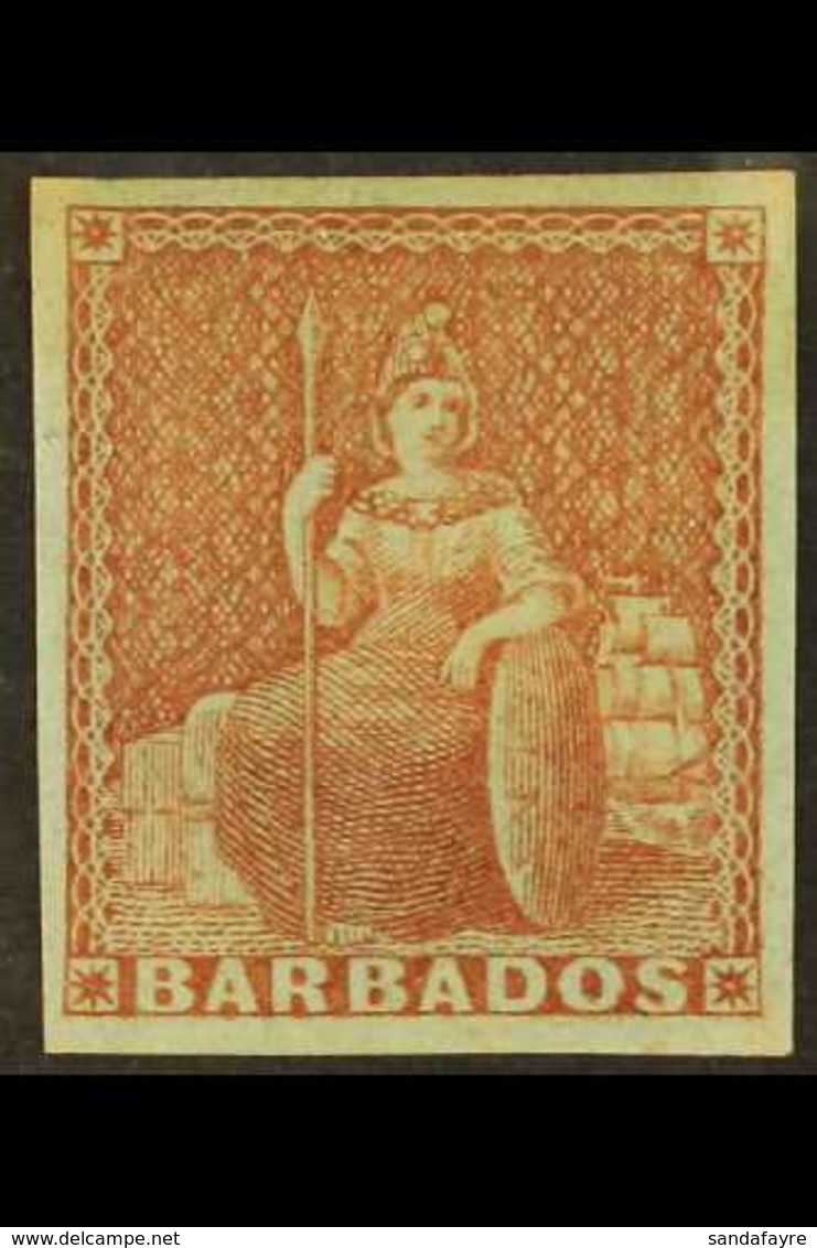 1855 4d Brownish Red Britannia, SG 5, Superb Never Hinged Mint With Four Good Margins. For More Images, Please Visit Htt - Barbados (...-1966)