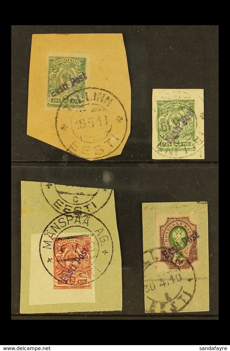 TALLINN (REVAL) 1919 "Eesti Post" Local Overprints Used Group On A Stock Card, All On Pieces, Comprising 3k Red Imperf,  - Estonia