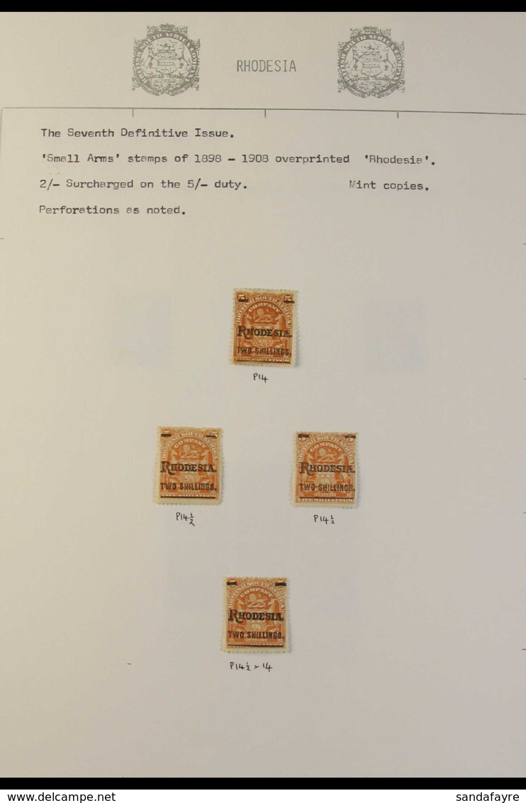 1909 SMALL ARMS OVERPRINTED Specialised Mint And Used Collection Of Surcharged Issues Including Shades, Pairs, Blocks An - Other & Unclassified