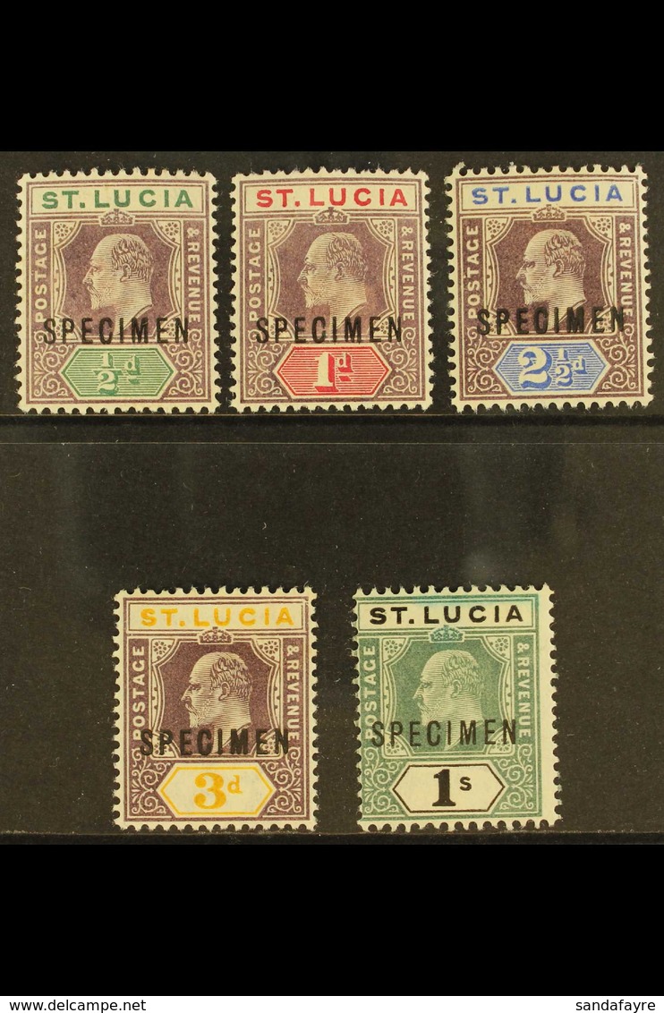 1902 - 3 Ed VII Set To 1s, Ovptd "Specimen", SG 58s/62s, Fine Mint, 1s Slight Colour Bleed At Top. (5 Stamps) For More I - St.Lucia (...-1978)