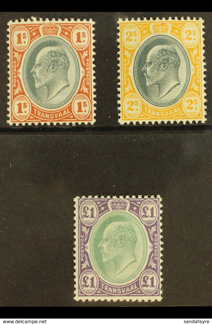 TRANSVAAL 1903 Ed VII Set 1s To £1, Wmk Crown CA, SG 256/8, Very Fine Mint. (3 Stamps) For More Images, Please Visit Htt - Ohne Zuordnung