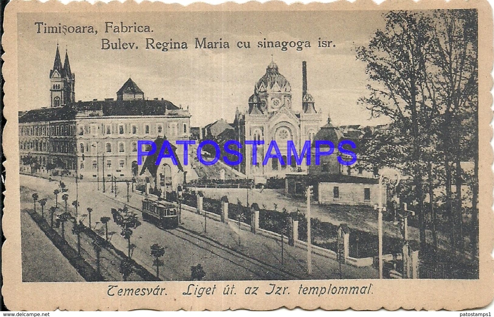 87246 ROMANIA TIMISOARA BOULEVARD REGINA MARIA & SINAGOGA SYNAGOGUE TRAMWAY POSTAL POSTCARD - Romania