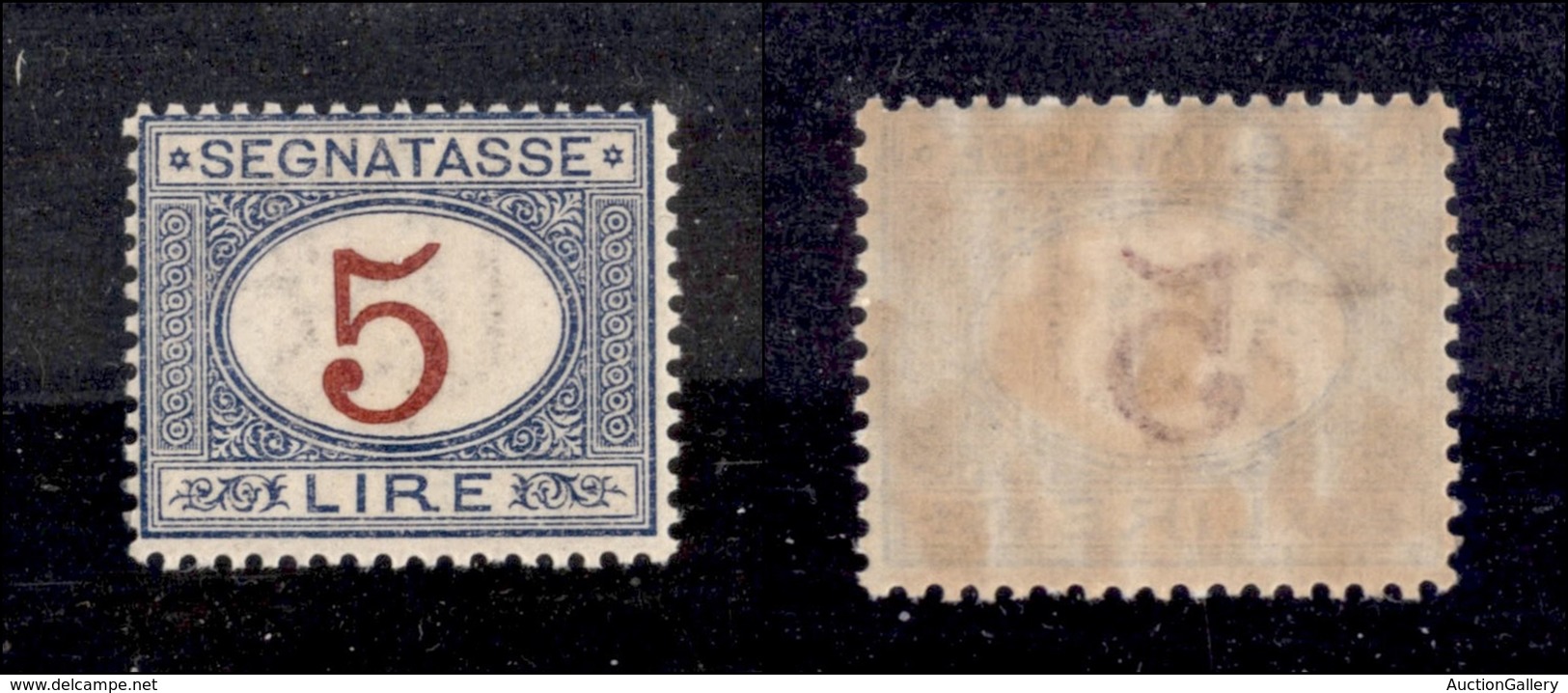 0258 REGNO - 1903 - 5 Lire Segnatasse (30) - Invisibile Traccia Di Linguella (350) - Sonstige & Ohne Zuordnung