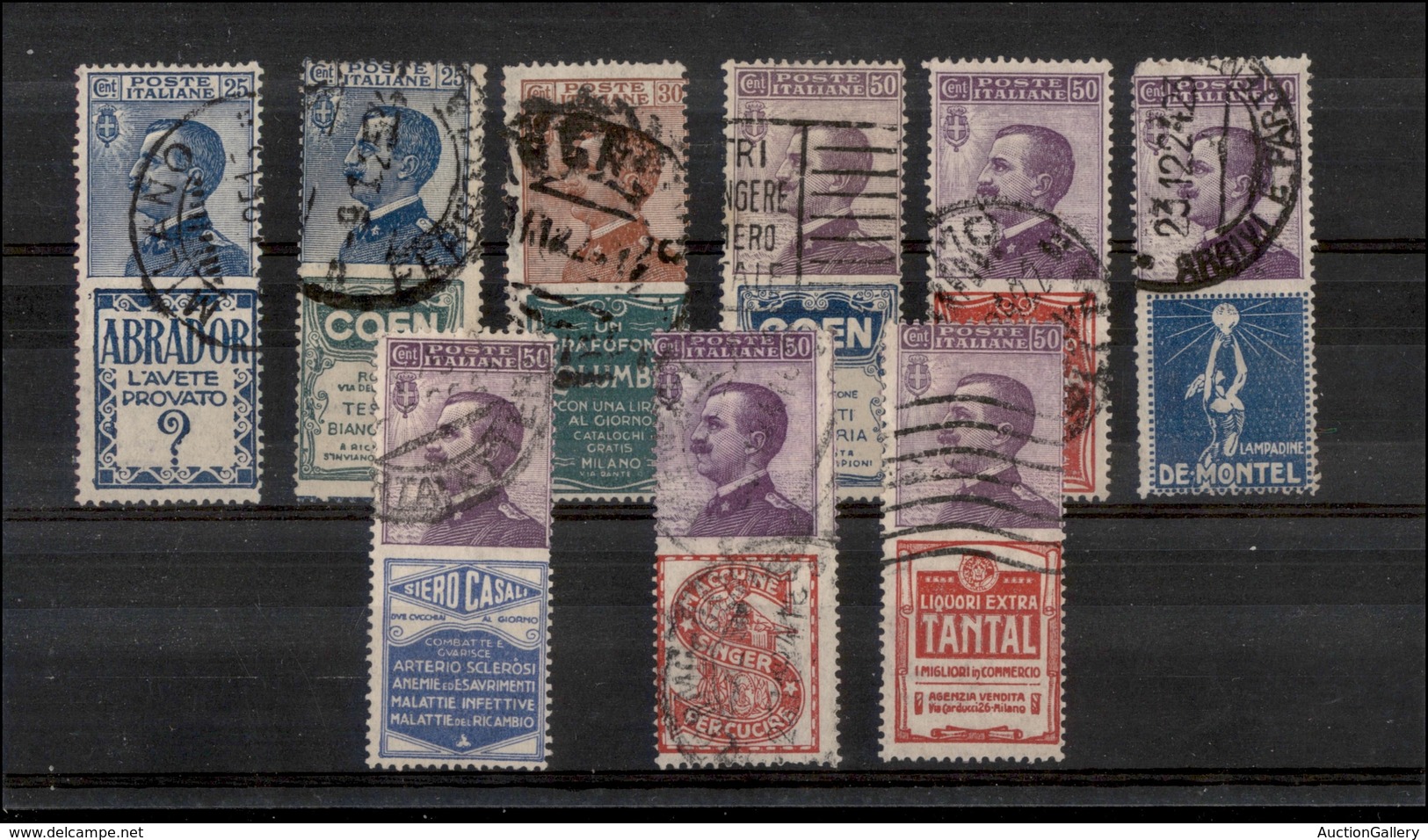 0293 REGNO - 1924/1925 - Pubblicitari - Nove Valori (4/5+9/12+15/16+18) - Usati (990) - Autres & Non Classés