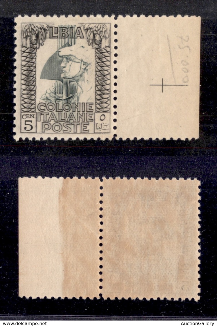 0659 COLONIE - LIBIA - 1926/1930 - 5 Cent Pittorica (60) Dentellato 11 - Bordo Foglio - Gomma Integra - Ottimamente Cent - Autres & Non Classés