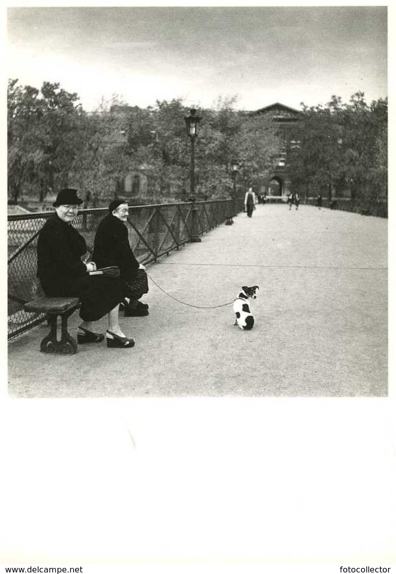 Paris Le Petit Chien En Laisse Par Doisneau (1950) - Doisneau