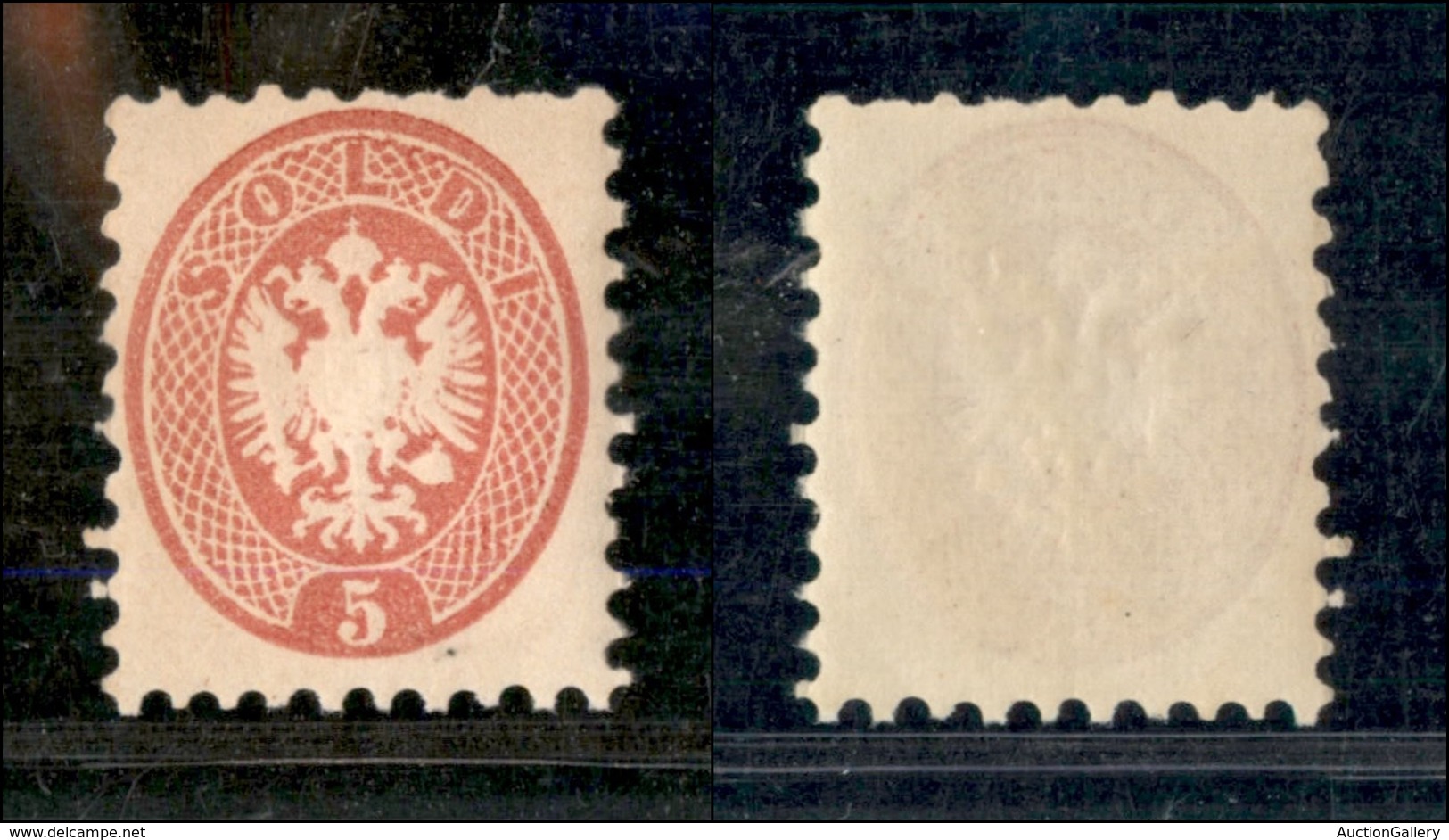 1106 ANTICHI STATI - LOMBARDO VENETO - 1864 - 5 Soldi Rosa Stemma Austro-ungarico (43) - Gomma Integra - Autres & Non Classés