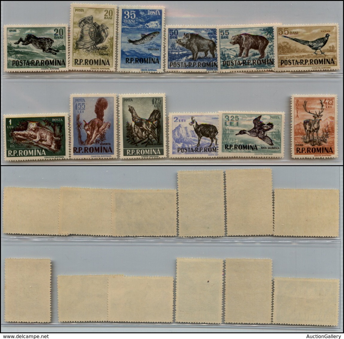 2589 ROMANIA - 1956 - Caccia E Pesca I Serie (unif. 1565/1576) - Serie Completa Di 12 Valori - Gomma Integra (110) - Other & Unclassified