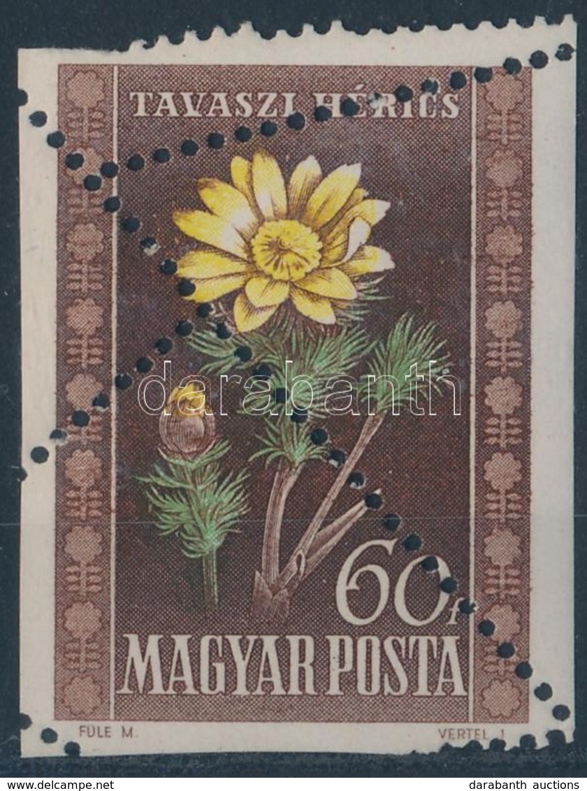 ** 1950 Virág 60f Látványos Fogazási Rendellenességgel - Autres & Non Classés