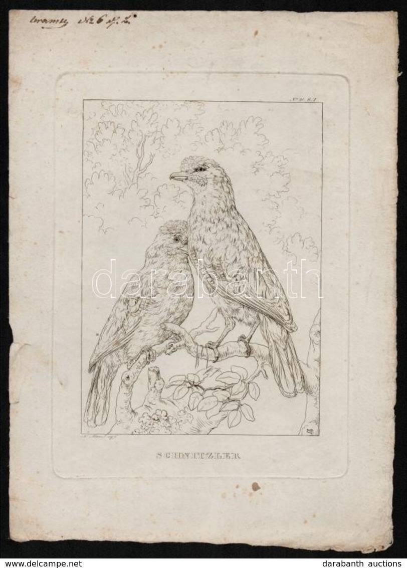 Cca 1830 Nepomuk Muxel (1790-1870): 5 Db Rézkarc, Papír, Jelzett A Dúcon, 24x18 Cm - Estampes & Gravures