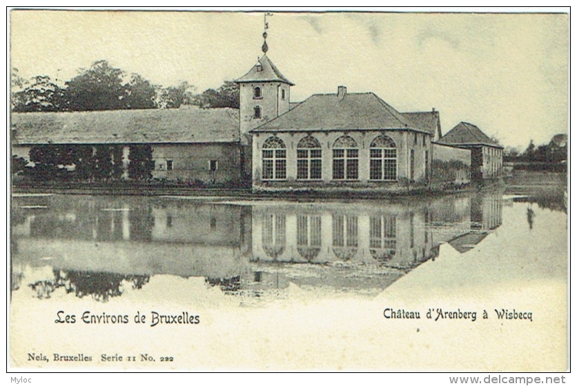 Environs De Bruxelles. Wisbecq. Château D'Arenberg. Nels. - Rebecq