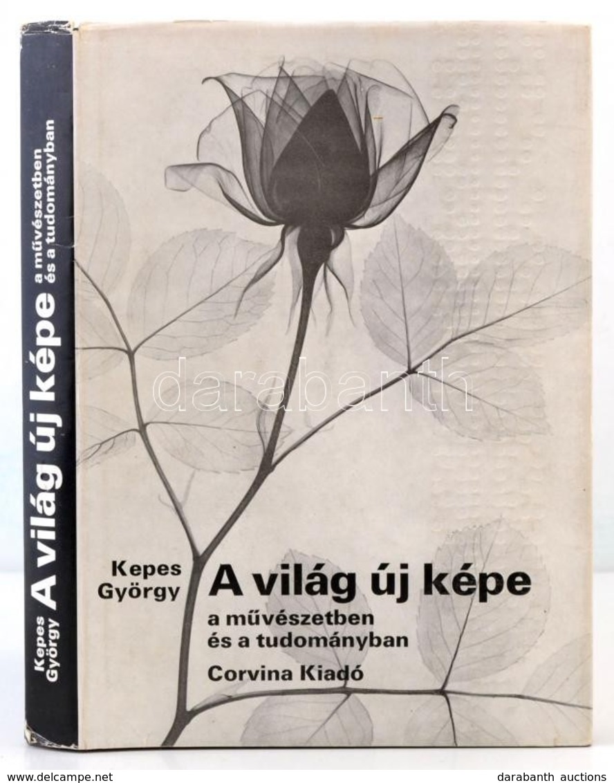 Kepes György: A Világ új Képe A Művészetben és A Tudományban. Fordította Széphelyi F. György. Bp.,1979, Corvina Kiadói E - Non Classés