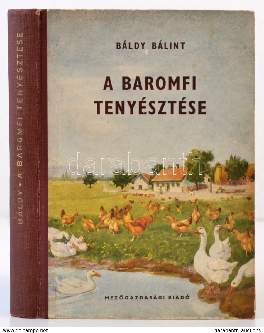 Báldy Bálint: A Baromfi Tenyésztése. Bp., 1954, Mezőgazdasági Kiadó. Kiadói Félvászon-kötés, Kissé Kopottas Borítóval. - Non Classés