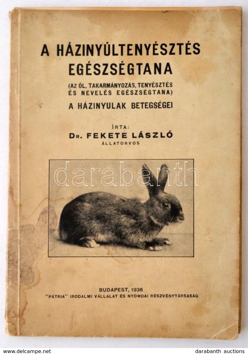 Dr. Fekete László: A Házinyúltenyésztés Egészségtana. (Az ól, Takarmányozás, Tenyésztés és Nevelés Egészségtana.) A Házi - Non Classés