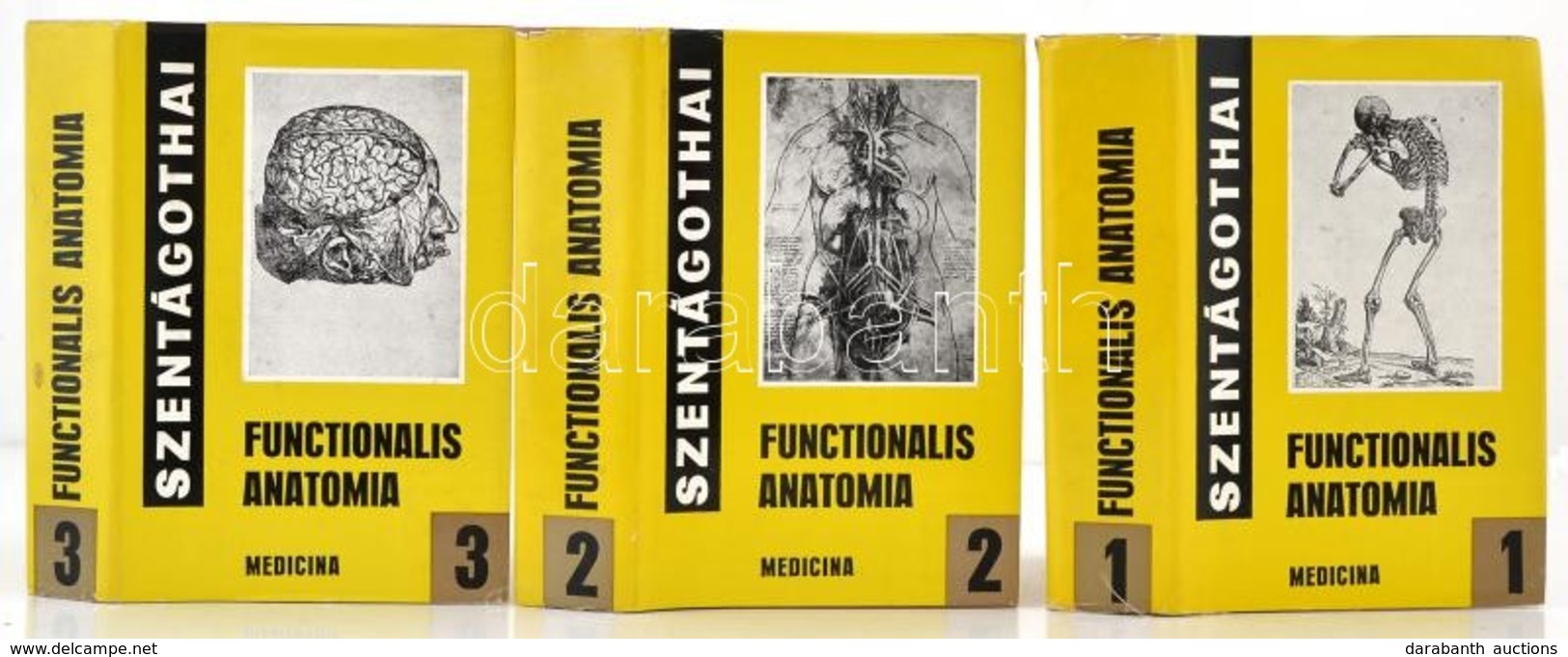 Szentágothai János: Functionalis Anatomia 1-3. Kötet. Az Ember Anatomiája, Fejlődéstana, Szövettana és Tájanatomiája. Bp - Non Classés