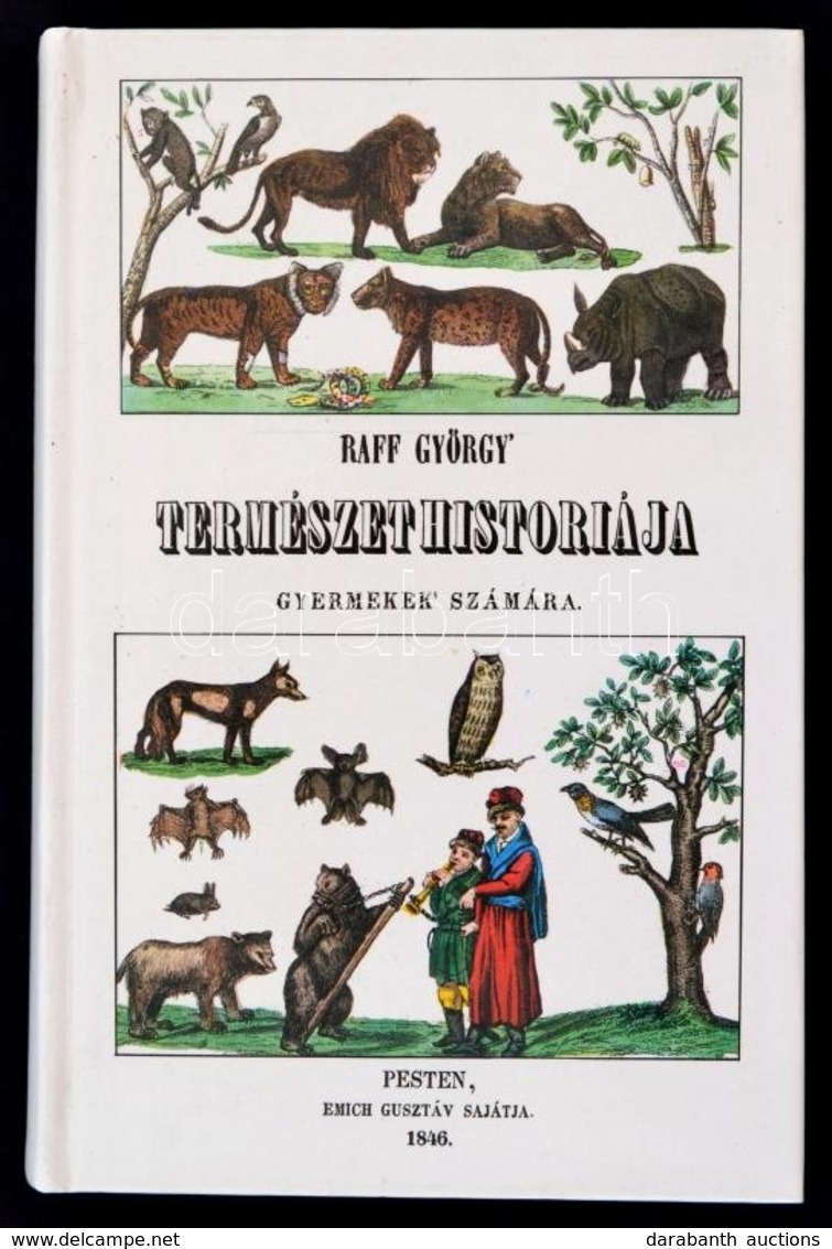 Raff György: Természethistóriája Gyermekek Számára. Bp.,1986, ÁKV. Kiadói Kartonált Papírkötés. - Non Classés