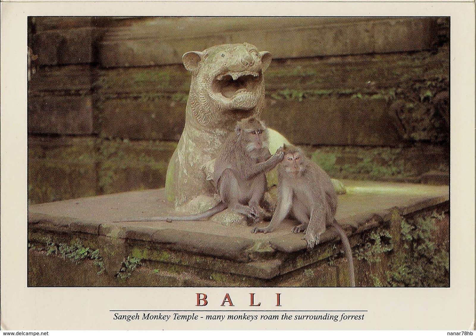 CPM Bali, Sangeh Monkey Temple - Indonesien