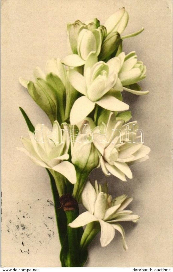* T2/T3 Flowers, Martin Rommel & Co. No. 635 (EK) - Non Classificati